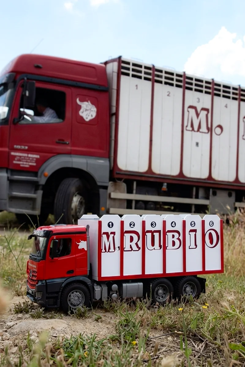 Camión toros detalle HC Taurinos